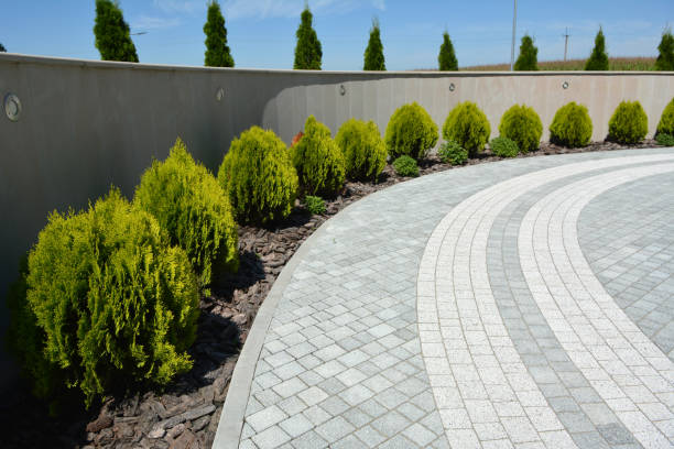 Best Driveway Pavers Near Me  in Chesterfield, SC